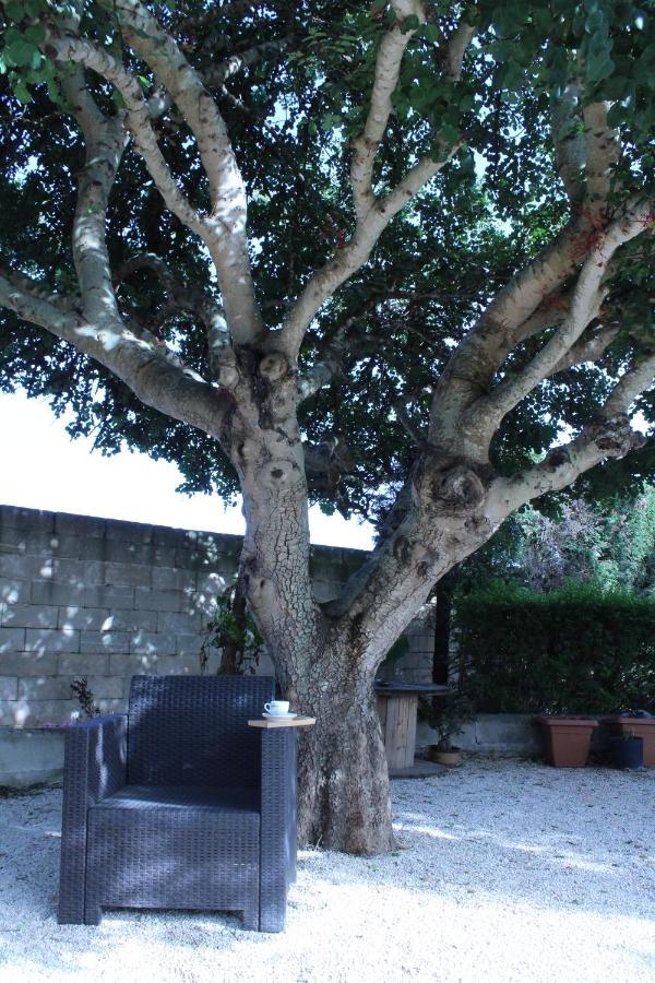 B&B Le Carrube Sava Luaran gambar